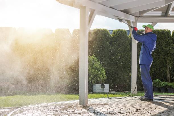 Best Sidewalk and Walkway Cleaning  in Lagunitas Forest Knolls, CA